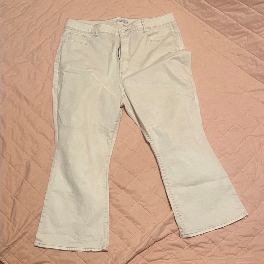 LOFT Women's Flare Cream Jeans